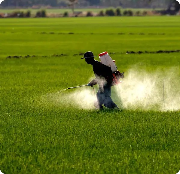 About_agriveta