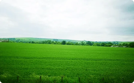 blog-1